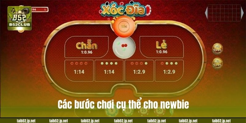 Các bước chơi cụ thể cho newbie.
